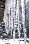 Eiszapfen am Hausdach