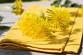 Dandelion on a fabric napkin out of doors