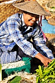 Market stallholder (laughing) at a market in Burma