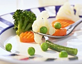 Cooked frozen vegetables on fork