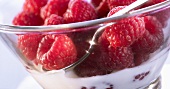 Frozen raspberries with yoghurt