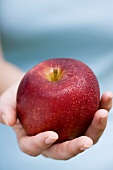Hand hält roten Apfel