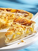 Cheesecake with dried apricots