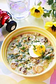 Mushroom soup with egg and turkey for children
