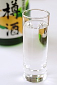 A glass of sake