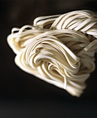 Udon noodles on black background