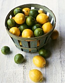 Zitronen und Limetten in einem Korb