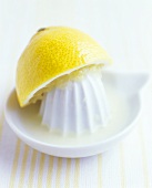 Zitronenhälfte auf Zitruspresse