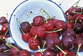 Cherries in a colander