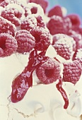 Meringue cake with raspberries (detail)