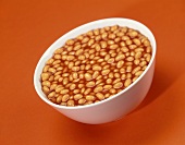 Tinned baked beans
