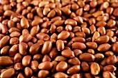 Viele Erdnüsse mit der feinen, rotbraunen Samenhaut