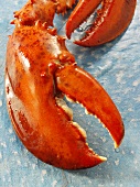 Cooked lobster claws