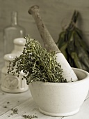 Thyme in a mortar