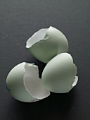 weiße Eierschalen