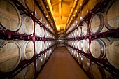 Rioja barrels, Spain