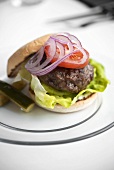 Beefburger with lettuce, tomato and onion