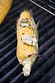 Corn on the cob with garlic butter on barbecue grill rack