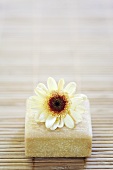 Chrysanthemum flower on a bar of soap