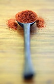 Gemahlene Paprika auf Holzlöffel