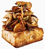 Mushroom bruschetta