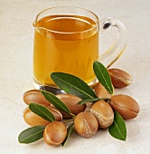 Twig with argan nuts and small jug of argan oil