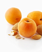 Fresh apricots and almonds