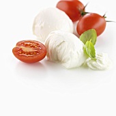 Mozzarella mit Tomaten und Basilikum