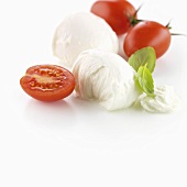 Mozzarella with tomatoes and basil