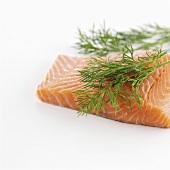 Salmon fillet with dill