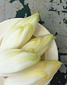 Chicory