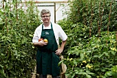 A chef in a greenhouse of tomatoes