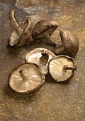 Six fresh shiitake mushrooms