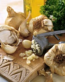 Garlic, garlic press, olive oil and parsley