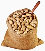 Peanuts in jute sack with scoop