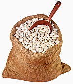 White beans in jute sack with scoop