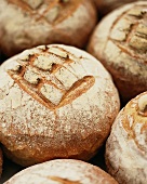 Several loaves of Landbrot (wheat and rye bread)