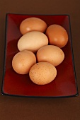 Sechs braune Eier in einer roten Schale