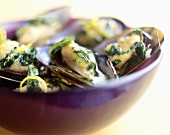 Mussels with herb stock