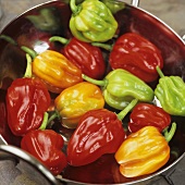 Habanero chillies in a bowl