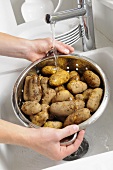 Washing potatoes under running water