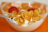 Cornflakes, strawberries and yoghurt in bowl and spoon