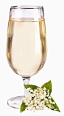 A glass of elderflower lemonade with elderflowers