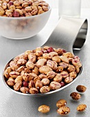Borlotti beans on a spoon and in a glass bowl