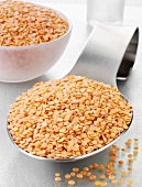 Red lentils on a spoon and in a glass bowl