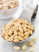 Roasted, salted peanuts on a spoon