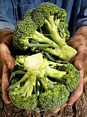 Man holding two heads of broccoli in both hands