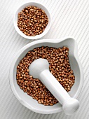 Coriander seeds in a mortar and a small dish