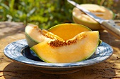 Slices of Cantaloupe melon on a plate out of doors