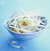 A small dish of bean sprouts